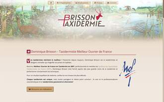 Brisson Taxidermie