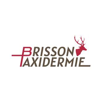 Brisson Taxidermie